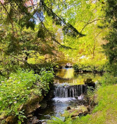 The Japanese Water Gardens