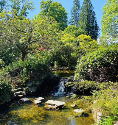 The Japanese Water Gardens