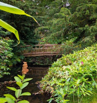 The Japanese Water Gardens